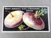 [Catalogue de graines-Horticulture] par SIMON LOUIS Frères & Cie. - Image 17
