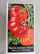 [Catalogue de graines-Horticulture] par SIMON LOUIS Frères & Cie. - Image 18
