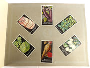 [Catalogue de graines-Horticulture] par SIMON LOUIS Frères & Cie. - Image 3