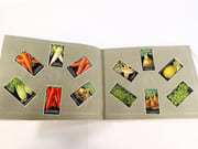 [Catalogue de graines-Horticulture] par SIMON LOUIS Frères & Cie. - Image 4