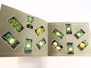 [Catalogue de graines-Horticulture] par SIMON LOUIS Frères & Cie. - Image 5