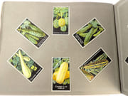 [Catalogue de graines-Horticulture] par SIMON LOUIS Frères & Cie. - Image 6