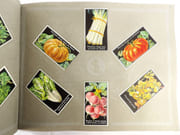 [Catalogue de graines-Horticulture] par SIMON LOUIS Frères & Cie. - Image 7