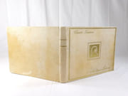 Majoliques italiennes.  par DAMIRON, Charles.  - Image 3