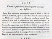 Instruction sur la culture, l'usage, et les avantages de la betterave champêtre.  par COMMERELL (abbé de).  - Image 6