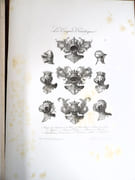 Dictionnaire du Chiffre-Monogramme dans tous les styles et les couronnes nobiliaires universelles.  par DEMENGEOT, Charles.  - Image 18