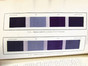 Traité des matières colorantes organiques artificielles, de leur préparation industrielle et de leurs applications.  par LEFEVRE, Léon.  - Image 11
