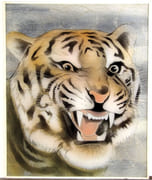 [Tête de Tigre].  par INGOLD, Willy. - Image 1