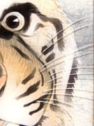 [Tête de Tigre].  par INGOLD, Willy. - Image 10