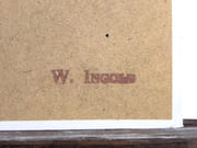 [Tête de Tigre].  par INGOLD, Willy. - Image 11