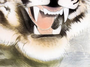 [Tête de Tigre].  par INGOLD, Willy. - Image 2
