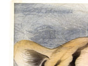 [Tête de Tigre].  par INGOLD, Willy. - Image 5