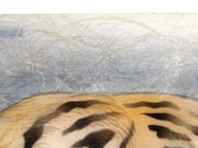[Tête de Tigre].  par INGOLD, Willy. - Image 6