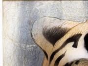 [Tête de Tigre].  par INGOLD, Willy. - Image 7