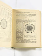 La Menuiserie pratique.  par BONNAMAUX, Henri.  - Image 8