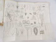Nouveau Manuel pour gouverner les Abeilles et en retirer grand profit. Contenant  la description de plusieurs ruches de nouvelle invention.  par RADOUAN, Jacques (père) et Auguste (fils) ; MALEPEYRE, F.  - Image 18