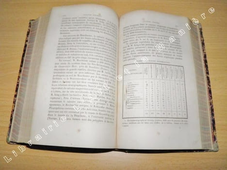 Géologie et paléontologie. . ARCHIAC (Adolphe, Vicomte d'). 