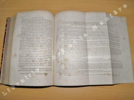 Géologie et paléontologie. . ARCHIAC (Adolphe, Vicomte d'). 