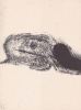 L' Ordalie * . BONNEFOY Yves :