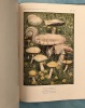 Les champignons dans la nature *. JACCOTTET John :