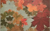  Feuilles d'automne *. ROBERT Philippe :