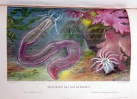 Le monde de la mer. 