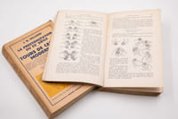 La prestidigitation du XXe siècle. Tours de cartes modernes - Tours divers.