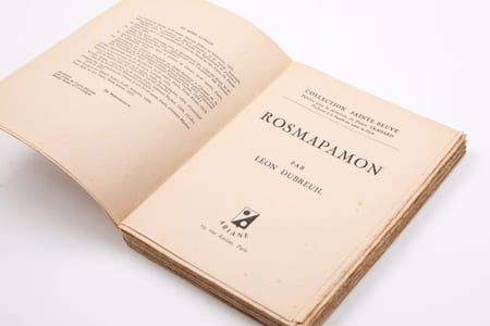 Rosmapamon. La vieillesse bretonne de Renan.