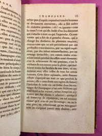 Observations sur quelques grands peintres, dans lesquelles on cherche à fixer les caractères distinctifs de leur talent, avec un précis de leur vie.