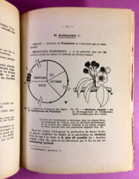 Manuel-Guide des traitements insecticides et fongicides des arbres fruitiers.