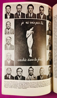 Révolutionnaires sans révolution.