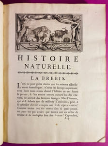 Histoire naturelle, générale et particulière, avec la description du cabinet du roi. Tome cinquième [la brebis, la chèvre, le cochon, le chien]