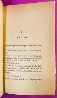 Le voyage intérieur.