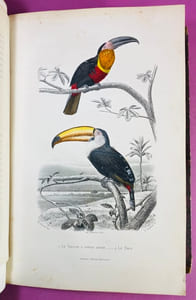Nouvelle galerie d'histoire naturelle tirée des Oeuvres complètes de Buffon et de Lacépède précédee d'une vie de Buffon.