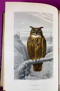 Nouvelle galerie d'histoire naturelle tirée des Oeuvres complètes de Buffon et de Lacépède précédee d'une vie de Buffon.