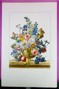 Nature morte aux fleurs, fruits et nid d'oiseau (planche issue de La Flore Pittoresque)
