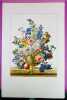 Nature morte aux fleurs, fruits et nid d'oiseau (planche issue de La Flore Pittoresque). CHAZAL, Antoine ; MOURLOT (Imprimeur)