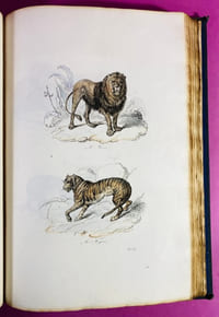 Oeuvres complètes de Buffon avec les suites (volume d'Atlas seul)