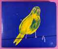 Yellow Bird with Worm. SHRIGLEY, David