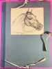 XX Dessins de Chevaux reproduits d'apr&egrave;s les lithographies originales. VERNET, Carle ; PORTEFIN, J.