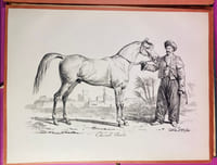 XX Dessins de Chevaux reproduits d'après les lithographies originales