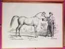 XX Dessins de Chevaux reproduits d'apr&egrave;s les lithographies originales. VERNET, Carle ; PORTEFIN, J.