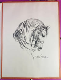 XX Dessins de Chevaux reproduits d'après les lithographies originales