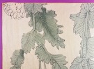Feuillage de pivoine ou de pavot. [ESTAMPE JAPONAISE] ; BAIREI, K&ocirc;no