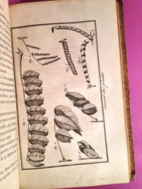 L'ami de la Nature ou Choix d'Observations sur divers objets de la Nature et de l'Art