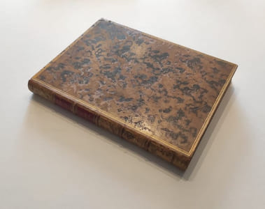 Histoire ecclésiastique du Diocèse de Lyon, traitée par la suite chronologique des vies des révérendissimes Archevêques, Comtes de Lyon et Primats de France.