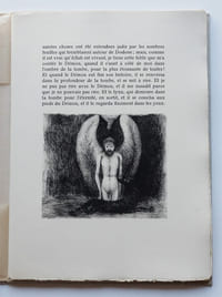 L'Ange du Bizarre, suivi d'autres contes.