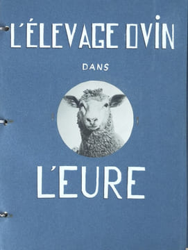 L'Élevage ovin dans l'Eure.. (Tapuscrit) / POOT, Louis.
