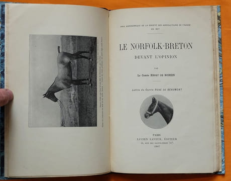 Le Norfolk-Breton devant l'opinion.. ROBIEN, Henry de (Comte).