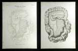Pulsadern des Darms - Arteria mesenterica superior.. Oesterreicher, Johann Heinrich (1805-1843):